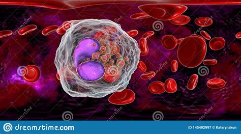 Eosinophil White Blood Cells With Transparency Membrane And