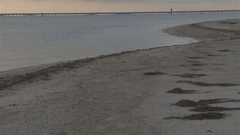 Bacteria At Beaches High After Recent Storms Wtsp Com