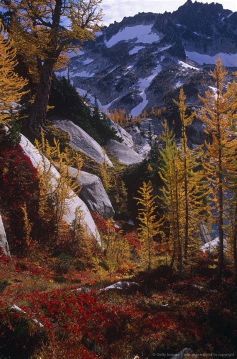 Autumn Colours Alpine Lakes Wilderness Washington State Vacation