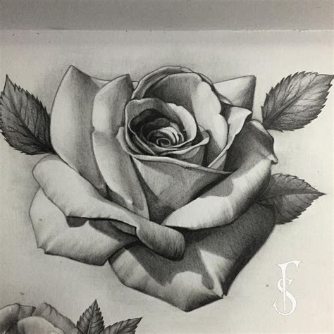 Black and white rose tattoo: Pin by Nasso Grassov on ideias | Rose tattoo design ...