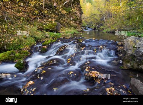 Iron Creek Spearfish Canyon Black Hills National Forest South Dakota