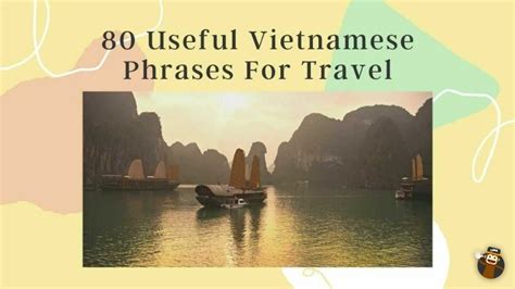 Useful Vietnamese Phrases For Travel Ling App