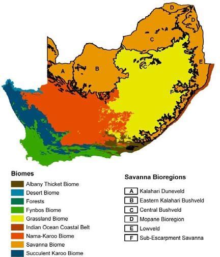 Biome Map Of South Africa With The Savanna Biome Divided Into