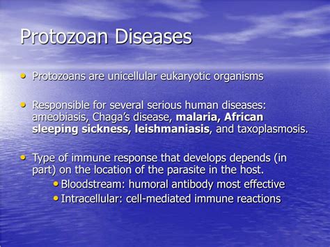 Ppt Protozoan Diseases Powerpoint Presentation Free Download Id 484157