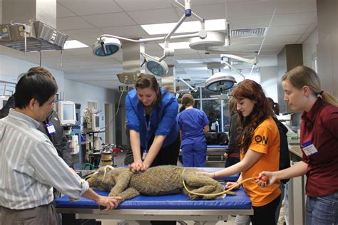0.8 mi from zip code at the clinic our state licensed veterinarians and professional staff will ask you a few questions about your pet's lifestyle. Hundreds of pre-vet students visit UF for symposium » The ...