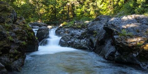 Sol Duc River Salmon Cascades Outdoor Project