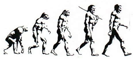 Developed a scientific theory of biological evolution that explains how modern organisms evolved over long periods of time through descent from common acnestors. Critiquer la théorie de l'évolution