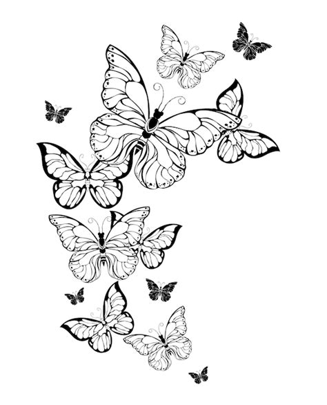Coloring Pages For Adults Butterflies