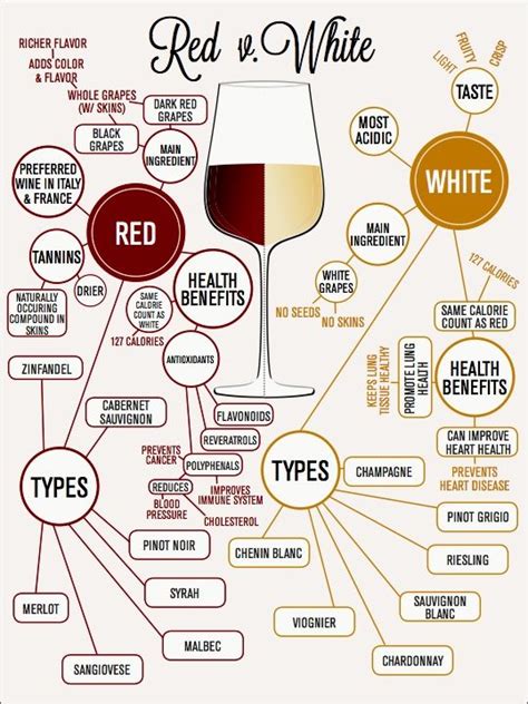 Types Of Wine And Information Summary About Their Origin Health