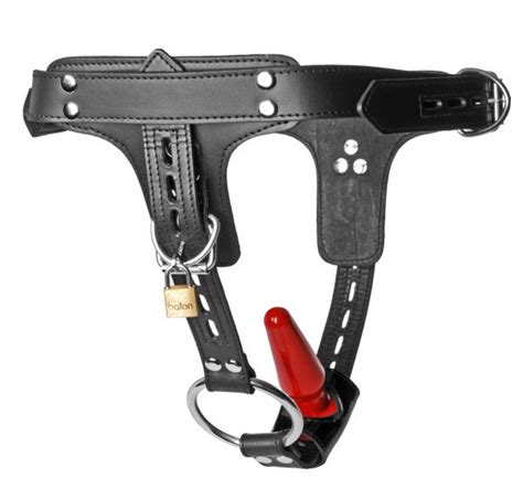 Premium Locking Leather Cock Ring And Anal Plug Harness On Literotica