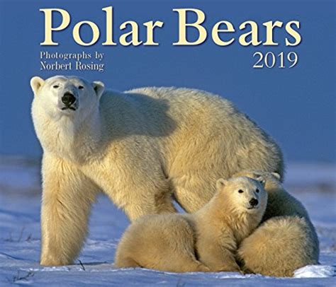 2019 Polar Bear Calendars Kritters In The Mailbox Polar Bear Calendar