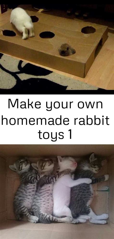Make Your Own Homemade Rabbit Toys 1 Homemade Rabbit Toys Rabbit