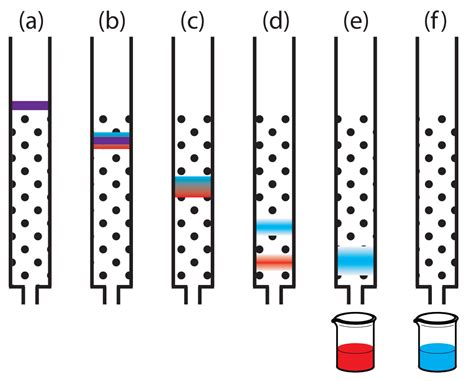 In preparative chromatography, gc can be used to prepare pure compounds from a mixture. 12.2: General Theory of Column Chromatography - Chemistry ...