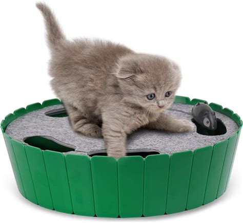 5 Best Motorized Cat Toys Reviews June 2021