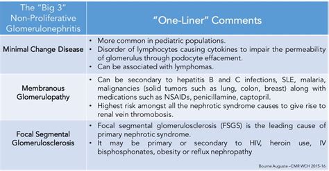 Swelling Nephrotic Syndrome Review Chief Medical