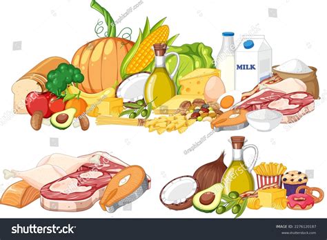 Main Food Groups Macronutrients Vector Illustration Stock Vector