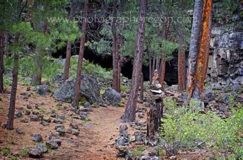 Central Oregon Hidden Forest Cave Walking Path Through The