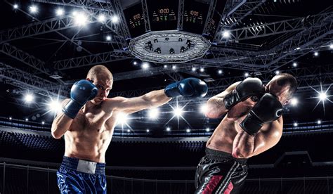 Boxing Defense - Warrior Punch