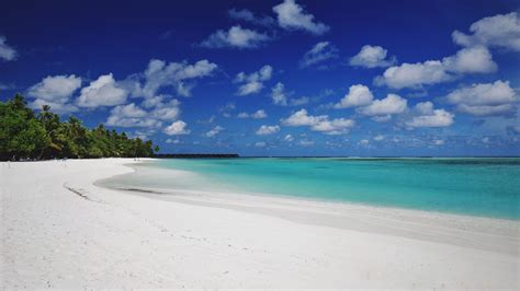 Maldives Island Ocean Sand Beach Plam Trees Photos Cantik