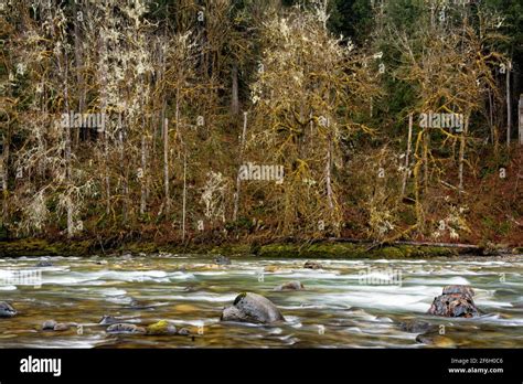 Sauk River High Resolution Stock Photography And Images Alamy
