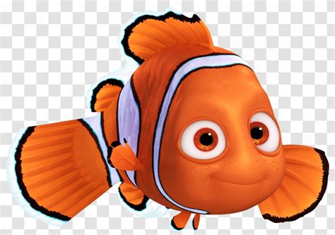 Nemo Png Clipart Marlin Crush Nemo Png Transparent Png X The Best
