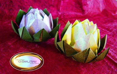 Origami Maniacs Beautiful Origami Lotus Flower