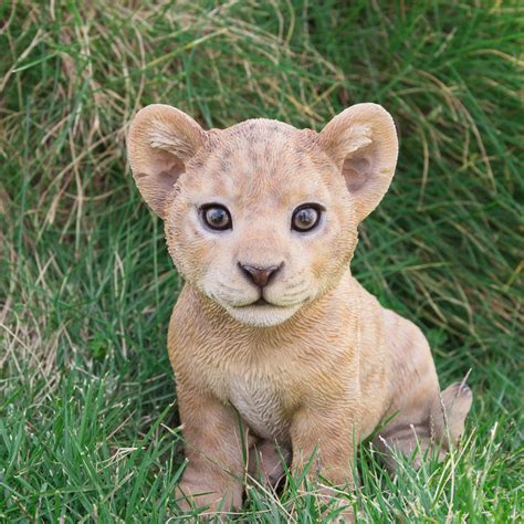 Hi Line T Ltd Sitting Lion Cub Statue Baby Animals Pictures