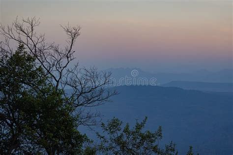Landscape And Tree Silhouette During Sunset On The Mountain Top Of Phu