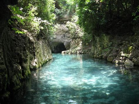 Подводный музей скульптур в канкуне мексики. Xcaret Eco Park - Picture of Xcaret Eco Theme Park, Playa del Carmen - TripAdvisor