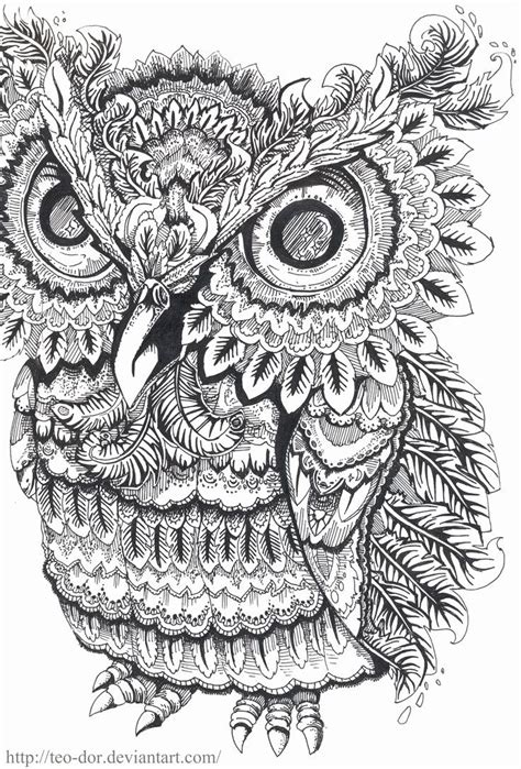 Owl Coloring Book For Adults Awesome I M Going To Start