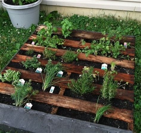 Diy Pallet Herb Garden Ideas For Today Pallets Designs