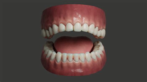 Mouth Teeth 3d Model Turbosquid 1672934