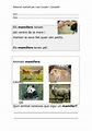 ELS ANIMALS. CICLE INICIAL. | PDF