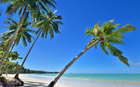 1920x1080px 1080p Free Download Summer Tropical Island Beach Palm