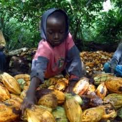 No amount of child labor in the cocoa supply chain should be acceptable. Cocoa industry child labor - Home