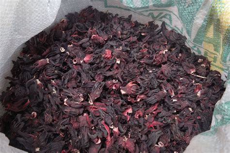 Maybe you would like to learn more about one of these? Dry Hibiscus Flower Suppliers In Nigeria: Zobo Leaf ...
