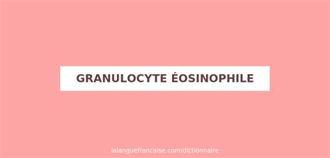 Définition De Granulocyte éosinophile Dictionnaire Français