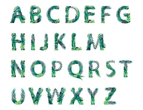 Conjunto De Alfabeto De Hojas Con Diferentes Tipos De Hojas Verdes Y