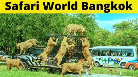 Safari World Bangkok Vlog In Hindi Bangkok Safari World Best Places