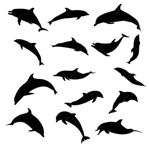 Premium Vector Dolphin Silhouette Vector Set Illustration