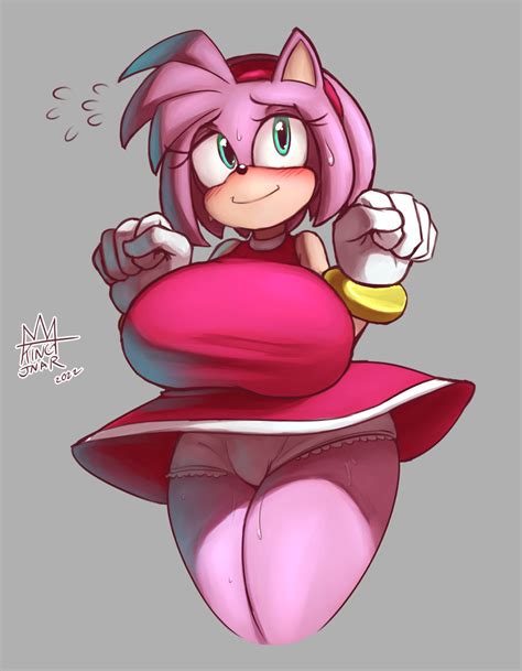 Amy Rose By KingJNar Hentai Foundry