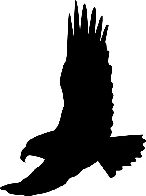 svg bird symbol american usa free svg image and icon svg silh