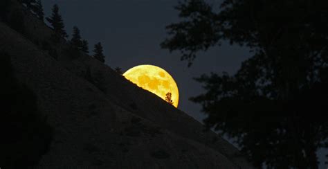 Rare Wolf Moon To Light Up American Skies Tomorrow News