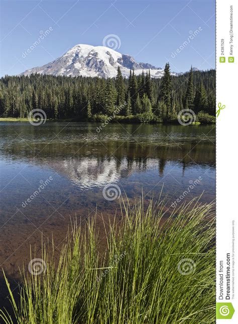 Reflection Lake Mt Rainier National Park Washin Royalty