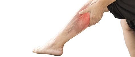 Pulled Calf Muscle Pain Overview Symptoms Causes And Treatment