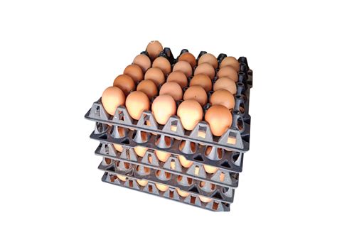 Packages Of Eggs In Black Plastic Storage From Chicken Farm That