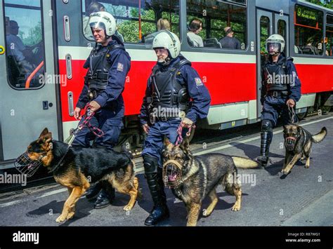 Polizeihunde hunde Fotos und Bildmaterial in hoher Auflösung Alamy