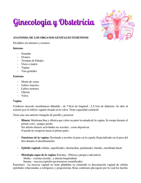 Go Completo Ginecologia Y ObstetrÌcia Anatomia De Los Organos