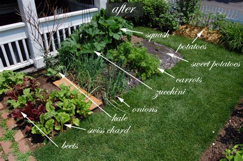 Front Yard Vegetable Gardenone Month Update The Art Of