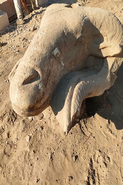 Tubuh Mirip Sphinx Patung Kepala Domba Raksasa Terkait Dewa Matahari